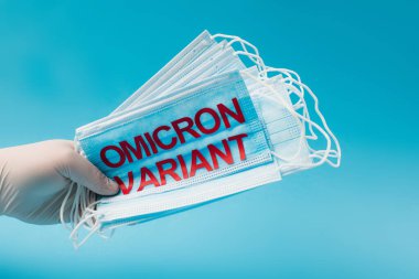 Cropped view of doctor in latex glove holding medical masks with omicron variant lettering isolated on blue 