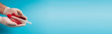 Cropped view of doctor in latex gloves holding cotton swabs and test tubes on blue background, banner 