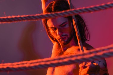 Shirtless and tattooed model posing near ropes on purple background with light 