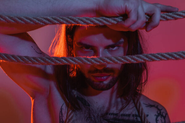 Portrait of tattooed man touching rope on purple background with light 