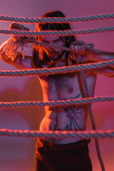 Muscular and tattooed man holding at camera while holding rope on purple background with light 