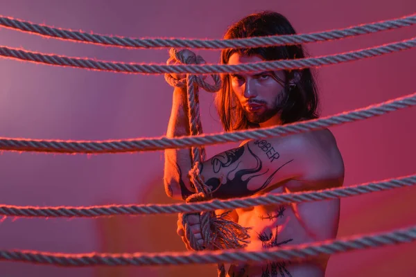 stock image Tattooed model holding rope and looking at camera on purple background with light 