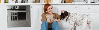 Neşeli kızıl saçlı kadın mutfakta Dalmaçyalı köpeğini besliyor. 