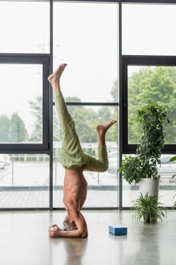 Gri saçlı adam yoga köpük bloğunun yanında amuda kalkıyor. 