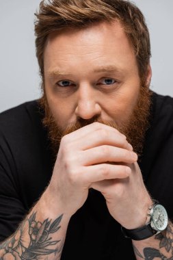 portrait of thoughtful bearded man in wristwatch holding hands near face and looking at camera isolated on grey