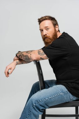 serious bearded man in blue jeans and black t-shirt looking at camera while posing on chair isolated on grey