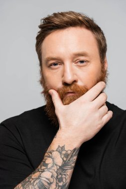 portrait of serious tattooed man looking at camera while touching beard isolated on grey