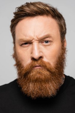 portrait of stringent bearded man frowning and looking at camera isolated on grey