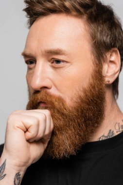 portrait of pensive bearded man holding hand near face and looking away isolated on grey