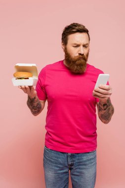 Düşünceli sakallı adam elinde hamburgerle karton kutu ve pembe üzerine izole edilmiş cep telefonu kullanıyor.