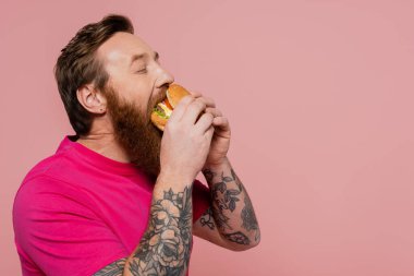 bearded and tattooed man in magenta t-shirt eating delicious burger isolated on pink