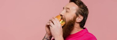 bearded man with closed eyes eating delicious hamburger isolated on pink, banner