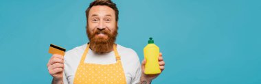 positive bearded man in apron holding detergent and credit card isolated on blue, banner