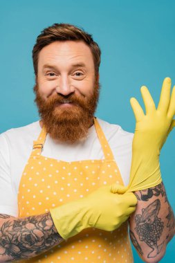 Benekli önlüklü neşeli sakallı adam sarı lastik eldiven giyiyor ve mavi üzerine izole edilmiş kameraya bakıyor.