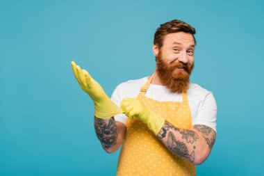 cheerful bearded man in apron looking at camera and wearing rubber gloves isolated on blue