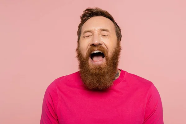 stock image excited bearded man in magenta t-shirt laughing with closed eyes isolated on pink