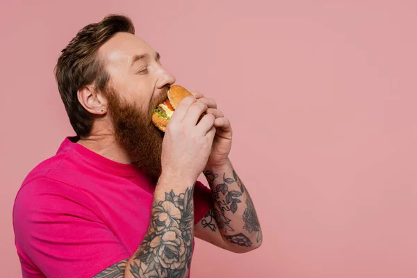 stock image bearded and tattooed man in magenta t-shirt eating delicious burger isolated on pink