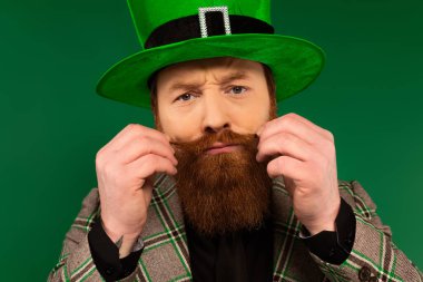 Portrait of man in hat touching moustache during saint patrick day isolated on green 