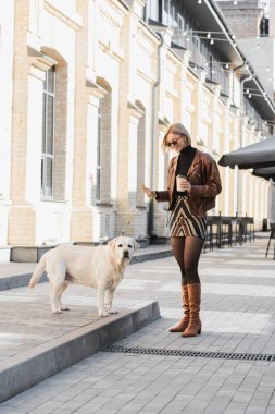 full length of cheerful woman in trendy sunglasses smiling and holding coffee to go while walking with labrador 