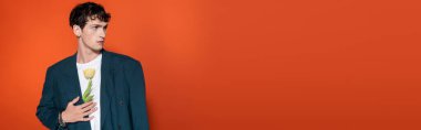 Curly man holding tulip behind jacket on red background, banner 