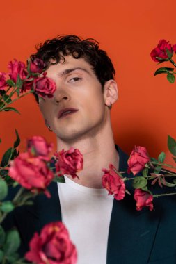 Curly brunette model looking at camera near rose flowers on red background