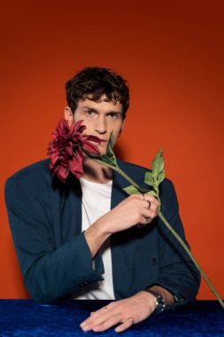 Stylish young man in blazer holding burgundy dahlia flower on red background