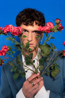 Curly model in jacket holding roses near face on blue background 