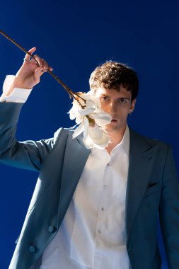 Portrait of curly model in jacket holding magnolia branch on navy blue background with sunlight 