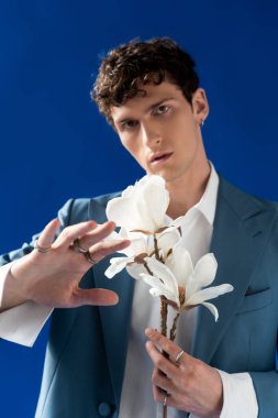 Fashionable man holding magnolia flowers and looking at camera isolated on blue 