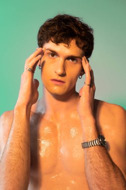 Curly man with oil on torso posing on green background 