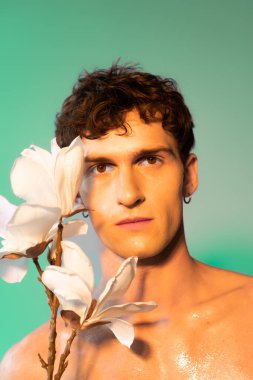 Brunette man with oil on skin looking at camera near magnolia branch on green background