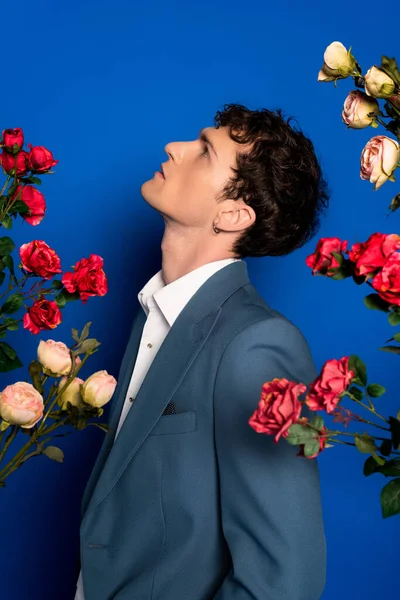 stock image Side view of stylish brunette man in jacket and shirt standing near roses on blue background 