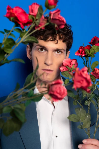 Portrait of brunette man in jacket and shirt holding flowers on blue background