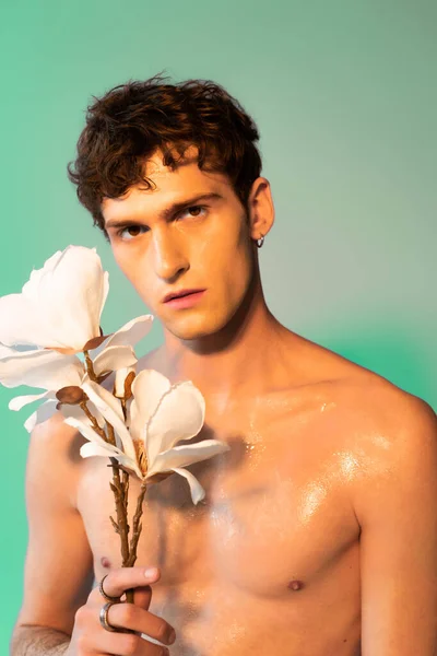 Shirtless man with oil on body holding magnolia flowers on green background