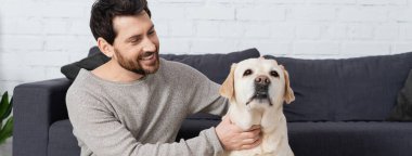 pleased bearded man cuddling labrador dog at home, banner