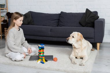 happy girl and labrador dog looking at each other near wood blocks game and laptop on floor in living room