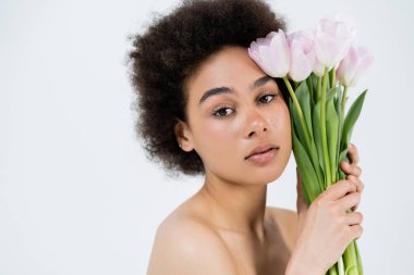 Gri üzerinde izole laleler tutan çıplak omuzlu Afro-Amerikan modelinin portresi. 