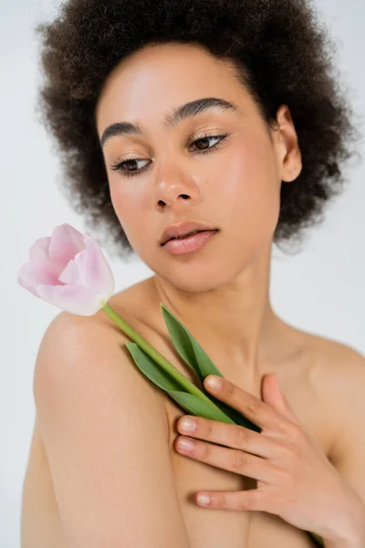 Retrato Mujer Afroamericana Sin Camisa Sosteniendo Tulipán Aislado Gris —  Fotos de Stock