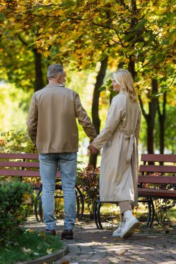 Carefree woman in trench coat holding hand of husband while walking in park  clipart