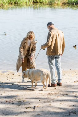 Smiling blonde woman spending time with labrador and husband near lake in park  clipart