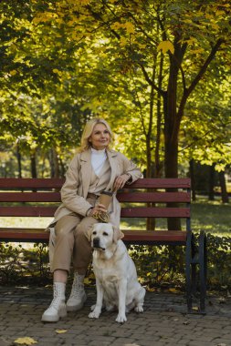 Blonde woman in trench coat holding coffee to go while sitting on bench near labrador  clipart