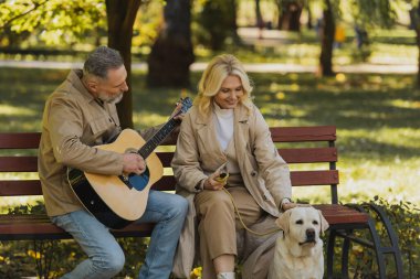 Kocası parkta akustik gitar çalarken gülümseyen kadın Labrador 'u okşuyor. 