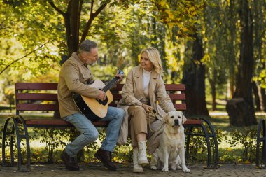 Olgun bir adam, gülümseyen karısı ve parkta labrador 'un yanında akustik gitar çalıyor. 