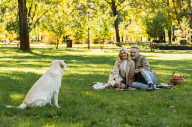 Parkta piknik yaparken labrador köpeğine bakan neşeli orta yaşlı çift. 