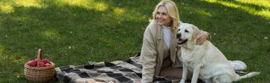 cheerful middle aged woman with blonde hair cuddling labrador dog while sitting on blanket in park, banner  clipart