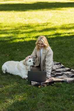 Labrador köpeğini okşayan mutlu orta yaşlı kadın dizüstü bilgisayarda film izlerken ve parkta battaniyede otururken. 