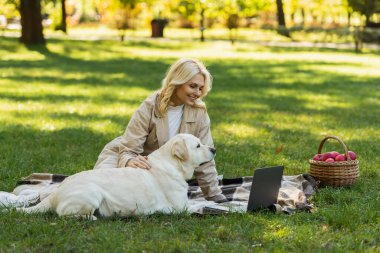 Labrador köpeğini okşayan neşeli kadın dizüstü bilgisayarda film izlerken ve parkta battaniyede otururken 