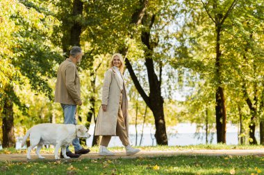 Mutlu orta yaşlı kadın, sıradan kıyafetlerle yeşil parkta kocası ve labrador köpeğiyle geziyor. 