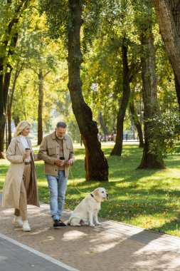 Mutlu orta yaşlı çift ellerinde kahveyle parka gidip labrador köpeğiyle geziyorlar. 