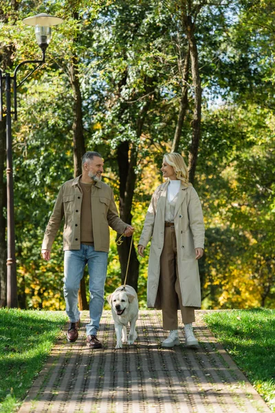公園の歩道でラブラドールの近くを歩く喜びのカップルの側面図 — ストック写真